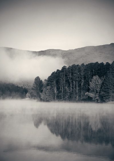 Untitled design-88